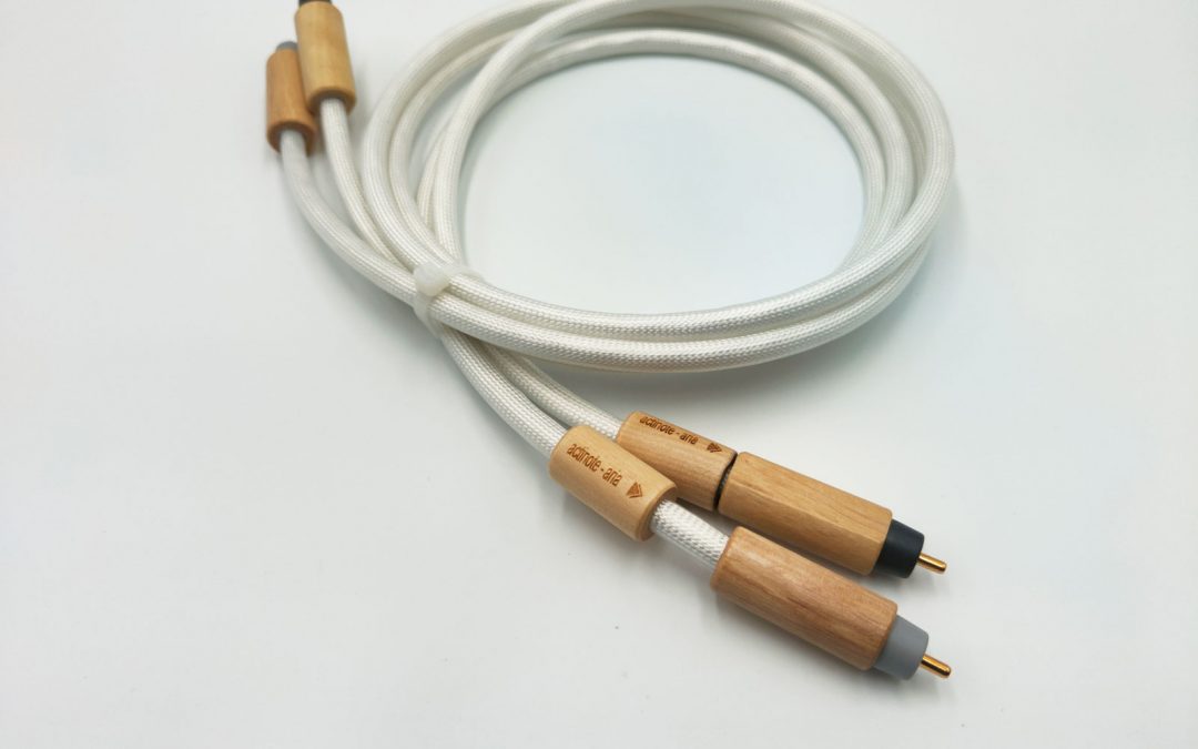 Câbles de modulation Aria Evo II RCA