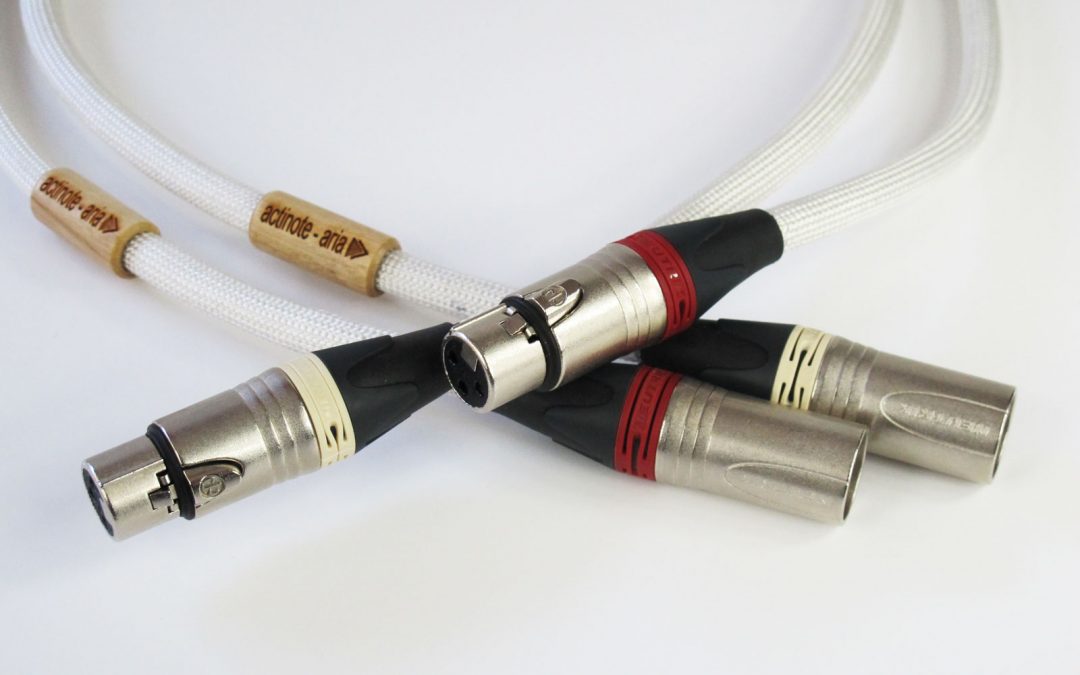 Câbles de modulation Aria Evo II XLR